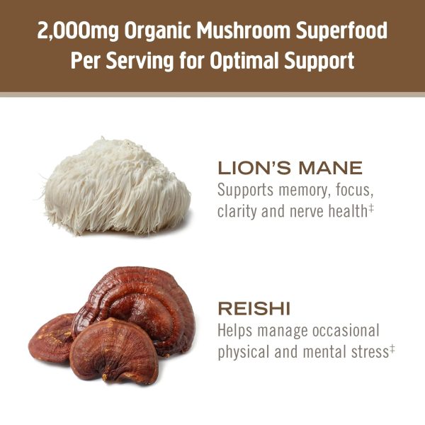 Om Mushroom Brain Fuel Veg Capsules 90ct Online now