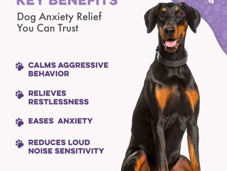 Peaceful Paws Dog Aggression Management and Noise Phobia Remedy by BestLife4Pets Discount