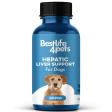 Natural Hepatic Dog Liver Support Tablets by BestLife4Pets Online now