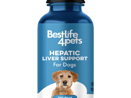 Natural Hepatic Dog Liver Support Tablets by BestLife4Pets Online now