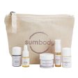 5 Steps to Perfect Skin Detoxifying Mini Kit by Sumbody Skincare Online now