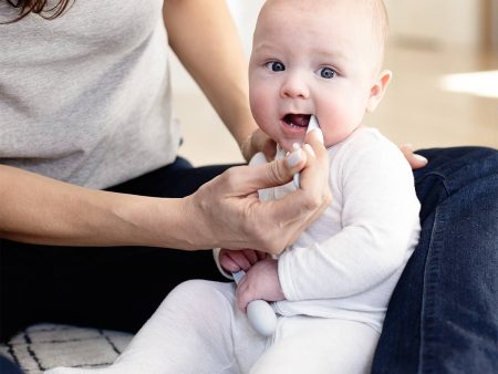 Baby-Led™ Toothbrush + Sensory Tongue Depressor by ezpz For Cheap