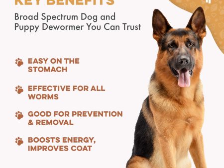 Broad Spectrum De-wormer for All Dogs by BestLife4Pets For Discount