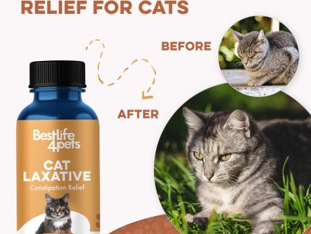 Natural Cat Laxative & Constipation Treatment by BestLife4Pets Discount