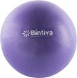 Bintiva 9 Inch Pilates Core Ball by Bintiva Sale