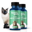 Cat Arthritis & Joint Pain Relief - Effective Anti-inflammatory by BestLife4Pets Online Hot Sale