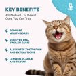 Cat Dental Care and Bad Breath Remedy by BestLife4Pets Cheap