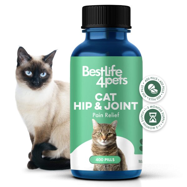 Cat Arthritis & Joint Pain Relief - Effective Anti-inflammatory by BestLife4Pets Online Hot Sale