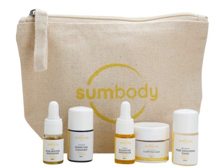 5 Steps to Perfect Skin Clear Up Mini Kit by Sumbody Skincare Supply