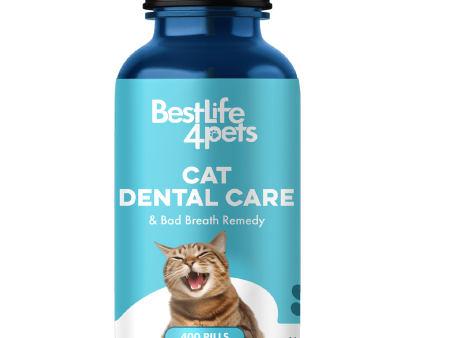 Cat Dental Care and Bad Breath Remedy by BestLife4Pets Cheap