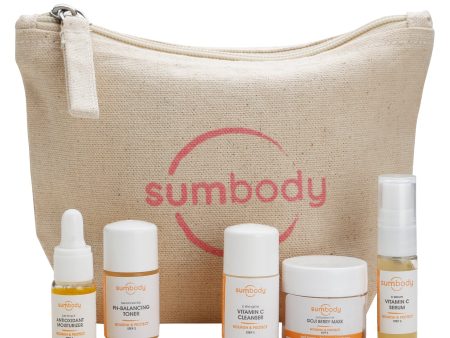 5 Steps to Perfect Skin Nourish & Protect Mini Kit by Sumbody Skincare For Sale