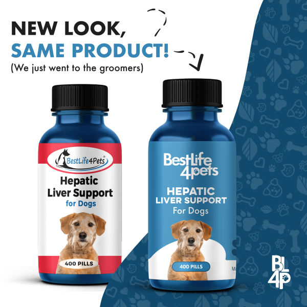 Natural Hepatic Dog Liver Support Tablets by BestLife4Pets Online now