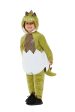 Hatching Dinosaur Costume for Toddlers Cheap