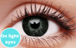 Basic Grey Coloured Contact Lenses For Cheap