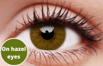 Basic Honey Coloured Contact Lenses For Sale