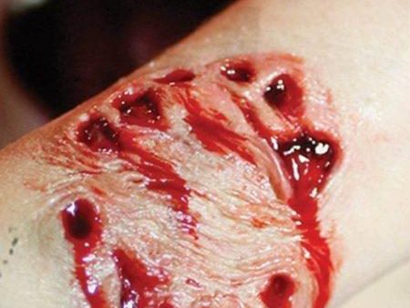 Animal Bite Fake Realistic Wound 3D FX Transfer Halloween Makeup Sale