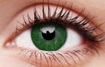 Basic Green Coloured Contact Lenses For Cheap