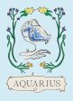 Aquarius Zodiac Book Discount