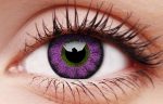 Ultra Violet Coloured Contact Lenses Supply