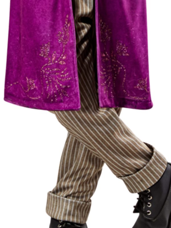 Willy Wonka Child Costume Premium Edition For Discount