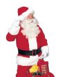 Santa Claus Suit Regency Plush Adult Costume on Sale