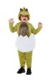 Hatching Dinosaur Costume for Toddlers Cheap