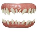 Fx Teeth Minion Online Sale