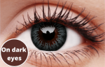 Evening Grey Coloured Contact Lenses Online Sale