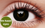 Dolly Black Coloured Contact Lenses For Sale