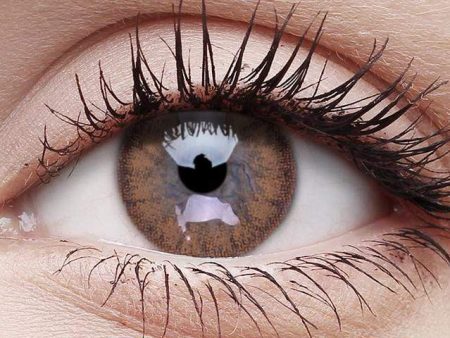 Brown Coloured Contact Lenses on Sale