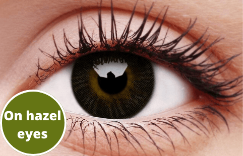 Basic Grey Coloured Contact Lenses For Cheap