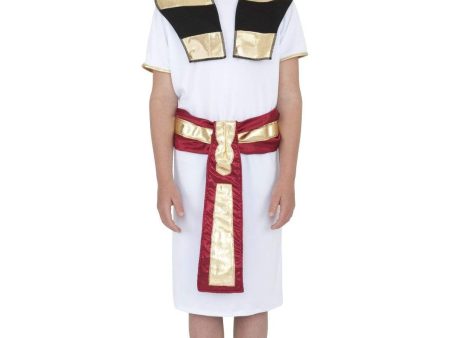 Pharaoh of Ancient Egypt Children s Costume Cheap