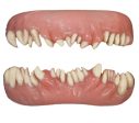 Invasion FX Teeth Veneers Costume Fangs Monsters Halloween Discount