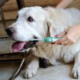 Petsie Dog Toothbrush by Better & Better For Discount