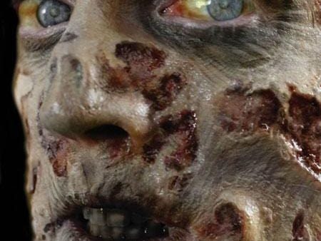 Zombie Rot Face Wounds Horror Makeup Halloween 3D FX Transfers on Sale