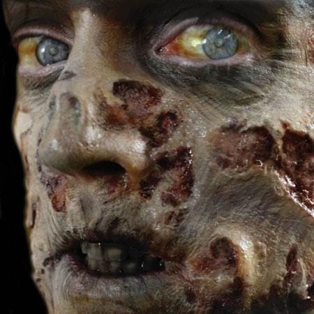 Zombie Rot Face Wounds Horror Makeup Halloween 3D FX Transfers on Sale