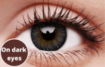 3 Tones Grey Coloured Contact Lenses Supply