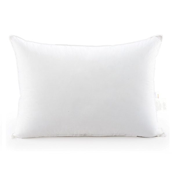 Cheer Collection Luxury Goose Down Alternative Pillows (Set of 2) by Cheer Collection Online now