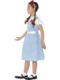 Dorothy Country Girl Wizard of Oz Children s Book Week Costume on Sale