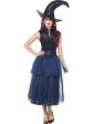 Blue Midnight Deluxe Witch Adult Costume for Women on Sale