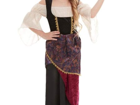 Deluxe Esmeralda Fortune Teller Children s Costume Online now