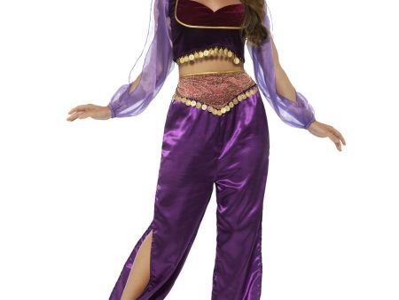 Arabian Princess Purple Costume Fashion