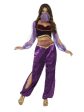 Arabian Princess Purple Costume Fashion