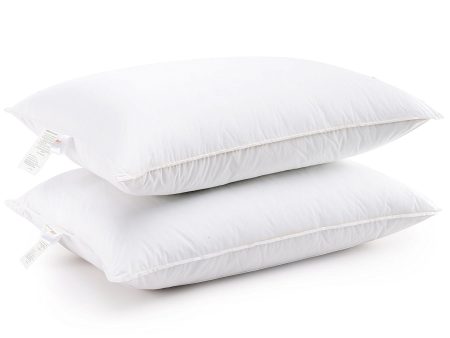 Cheer Collection Luxury Goose Down Alternative Pillows (Set of 2) by Cheer Collection Online now