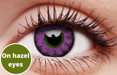 Ultra Violet Coloured Contact Lenses Supply