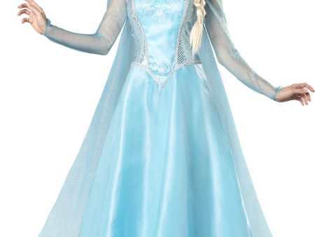 Snow and Ice Princess Adult Costume Online Hot Sale