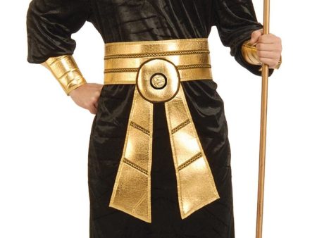 Pharaoh Adult Costume Cheap