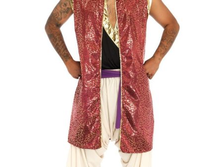 Al Prince Men s Bollywood Genie Costume Online Sale