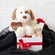 Puppy Spot w Hugs Heart Plush Toy White (25cmST) Sale