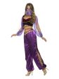 Arabian Princess Purple Costume Fashion